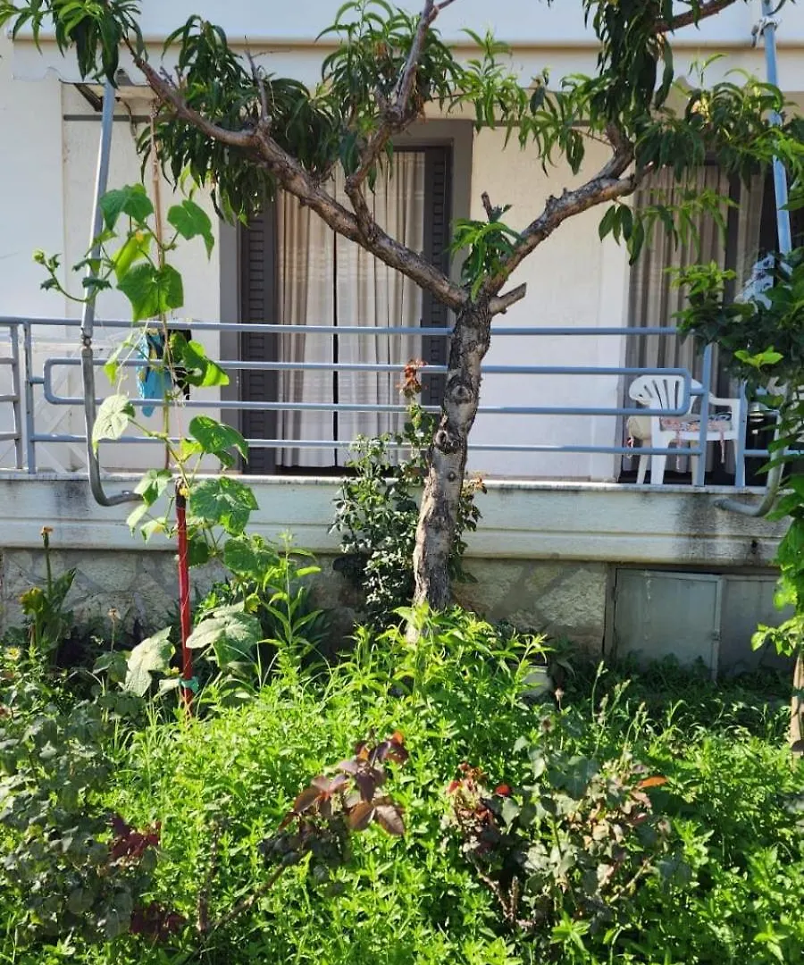 Mohito Beach Apartment 5 Sarande
